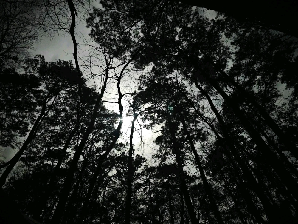 GIF uploaded by Jake