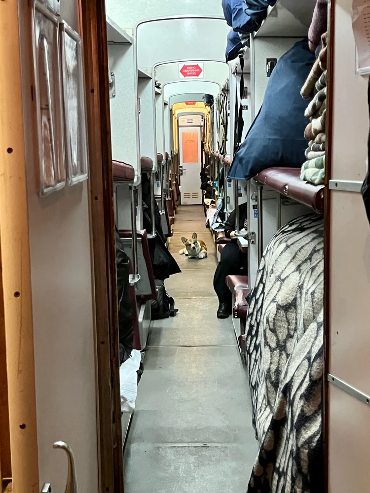 Гіфку завантажив Катя