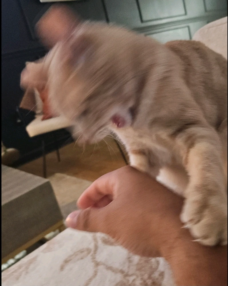 GIF uploaded by Kevin