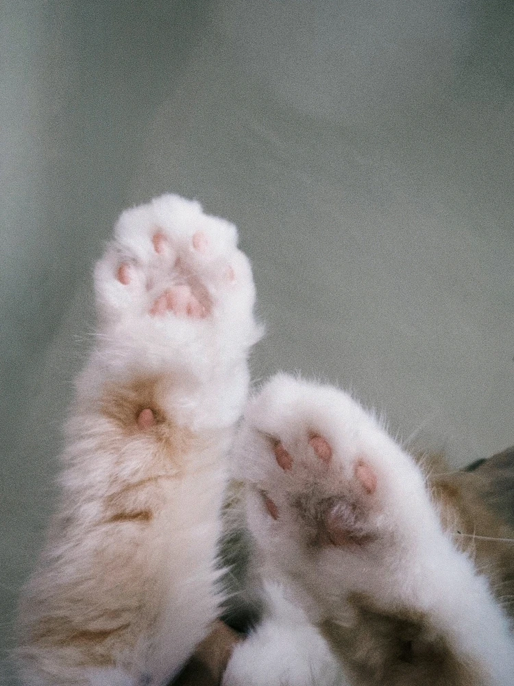 GIF uploaded by Yash pradhan