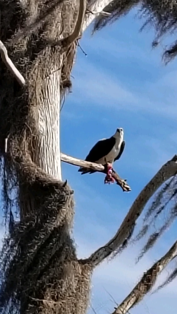 Image uploaded by Joe