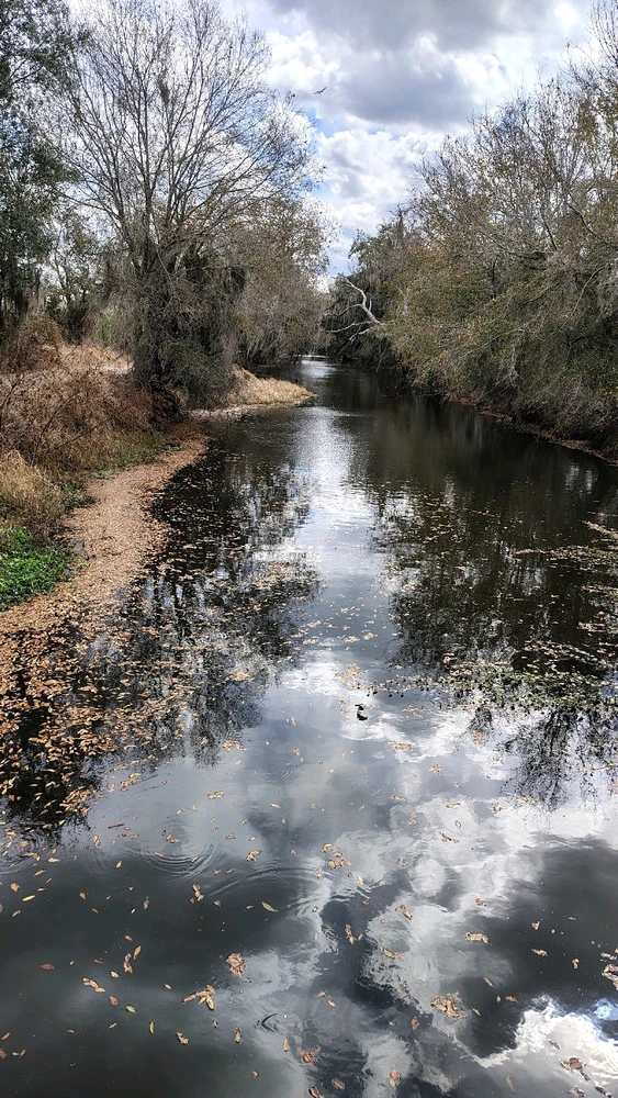 Image uploaded by Joe