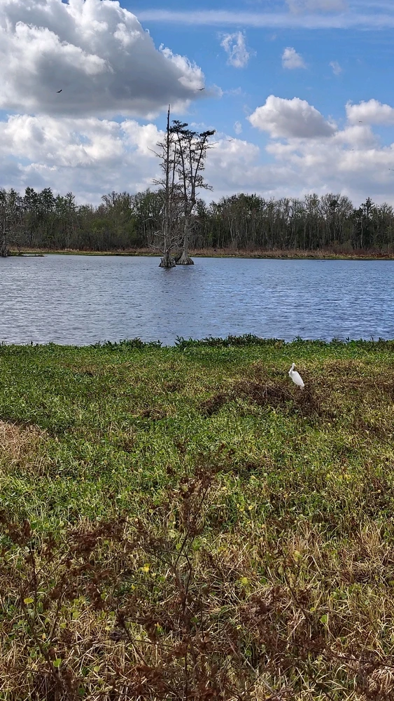 Image uploaded by Joe