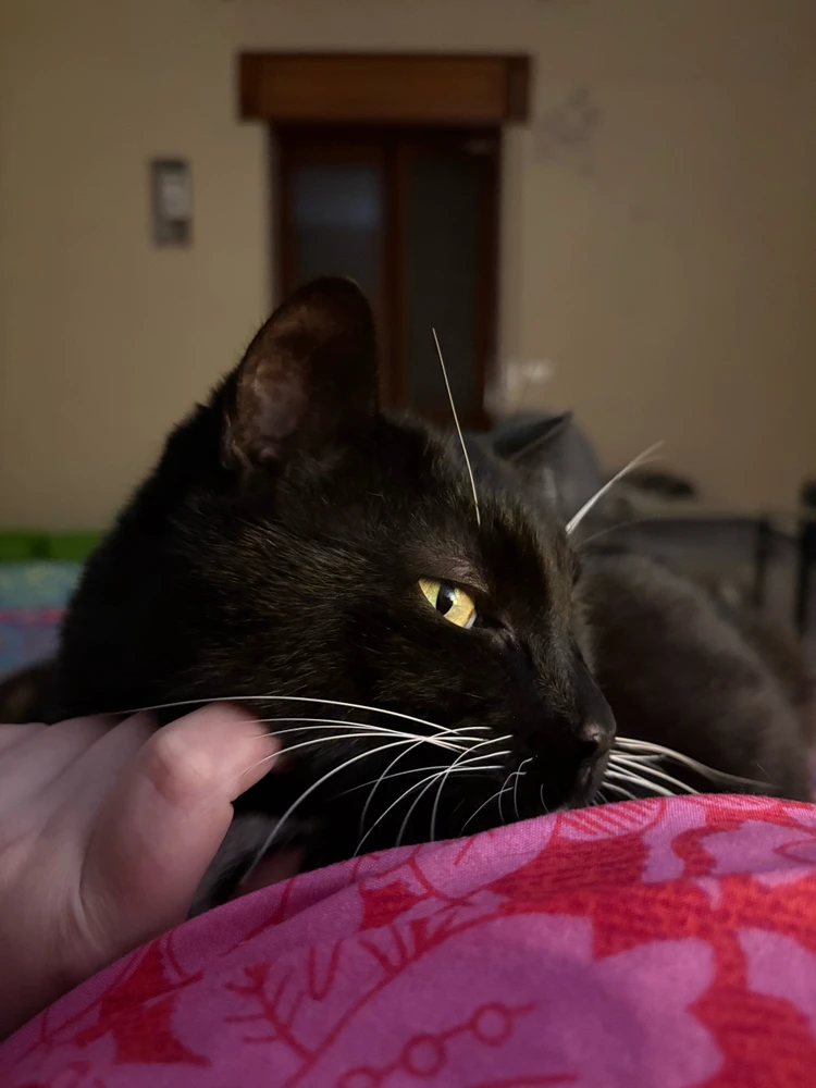 GIF caricata da Sara