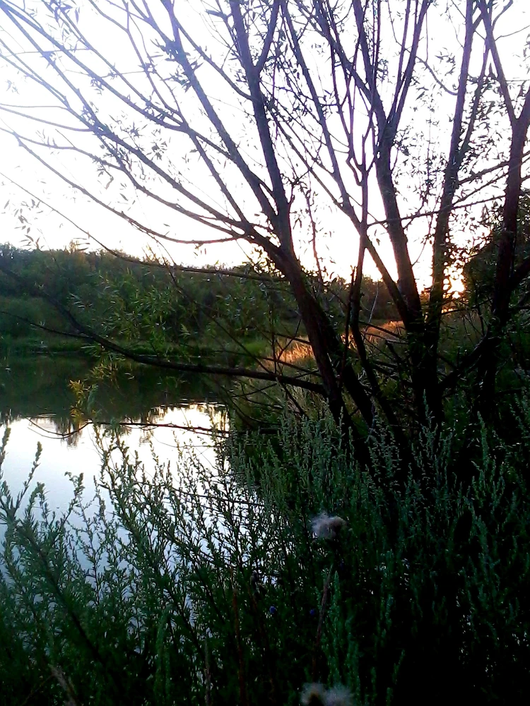 GIF uploaded by Luna