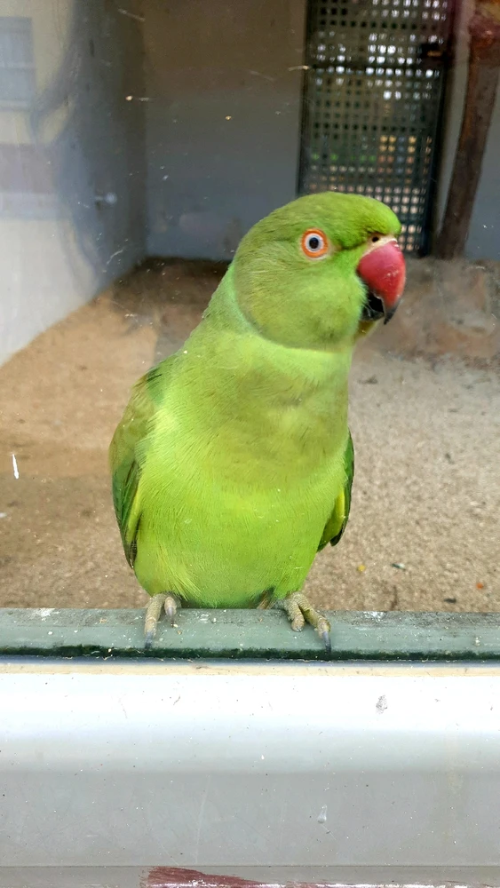 Gambar diunggah dening Luna