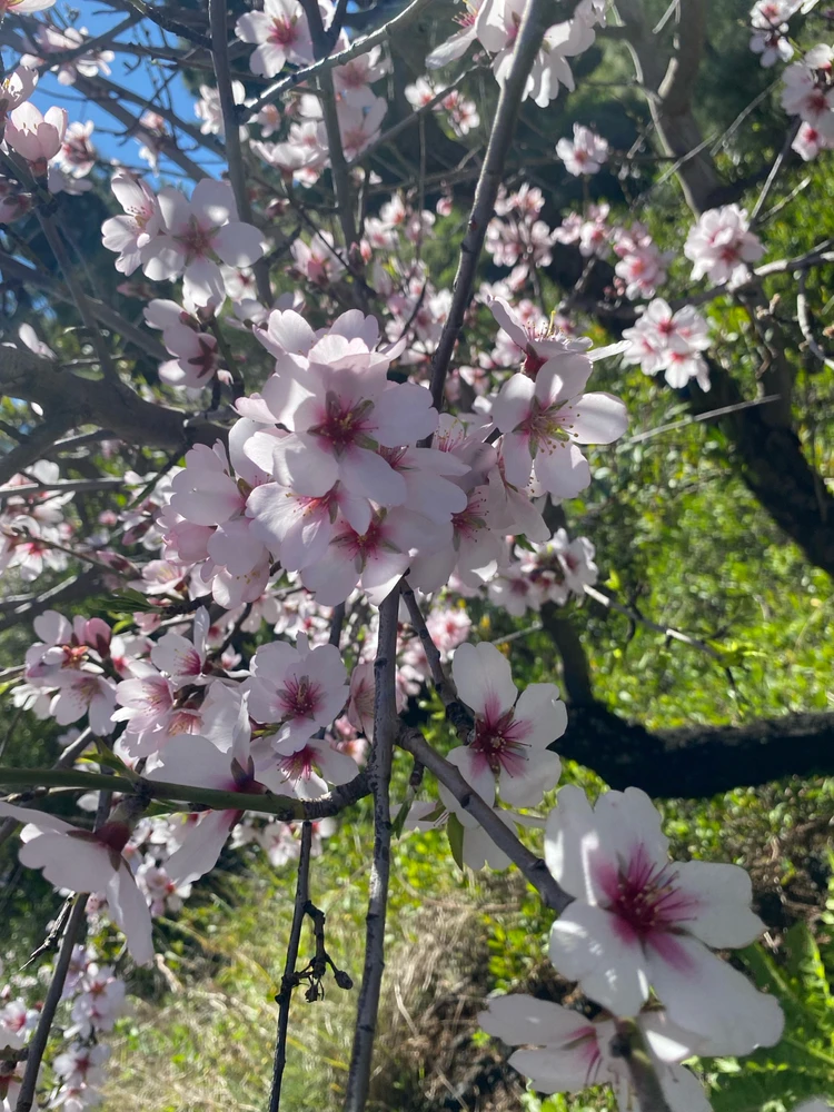 Image uploaded by Andrés