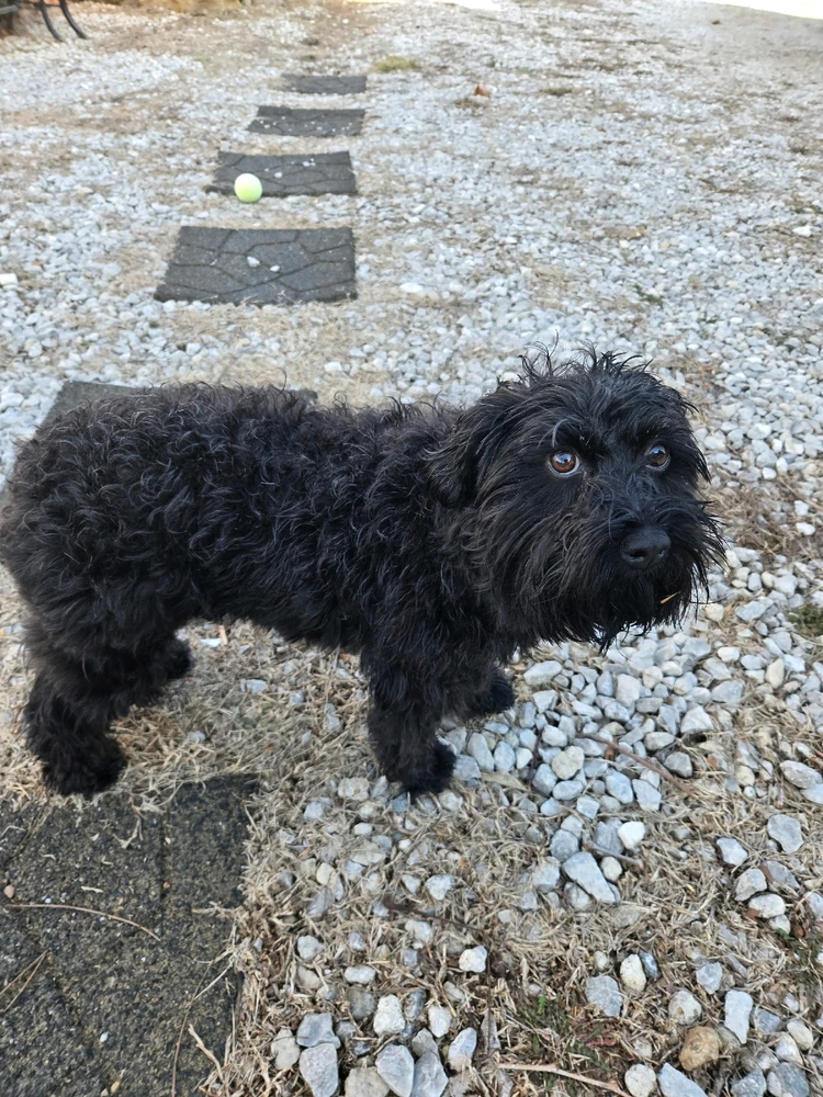 GIF uploaded by Luke