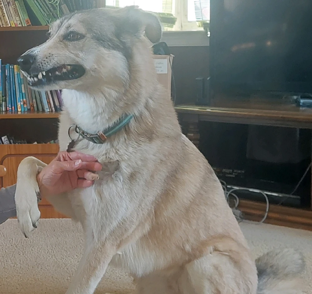 GIF uploaded by Jonathan