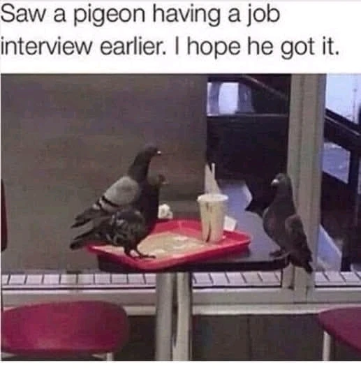 GIF uploaded by Roxy