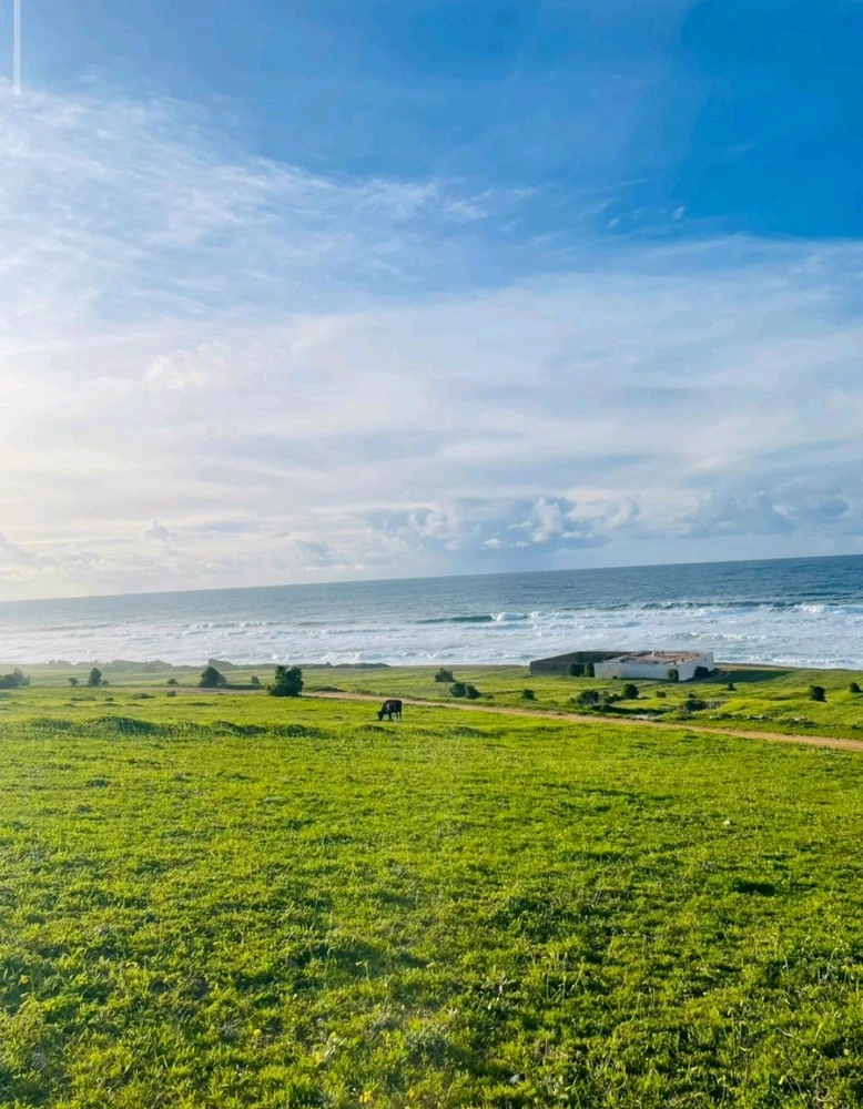 Image uploaded by Abdelghafour