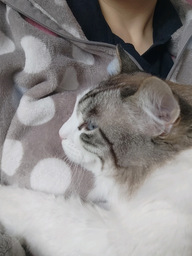 GIF uploaded by Nathalie