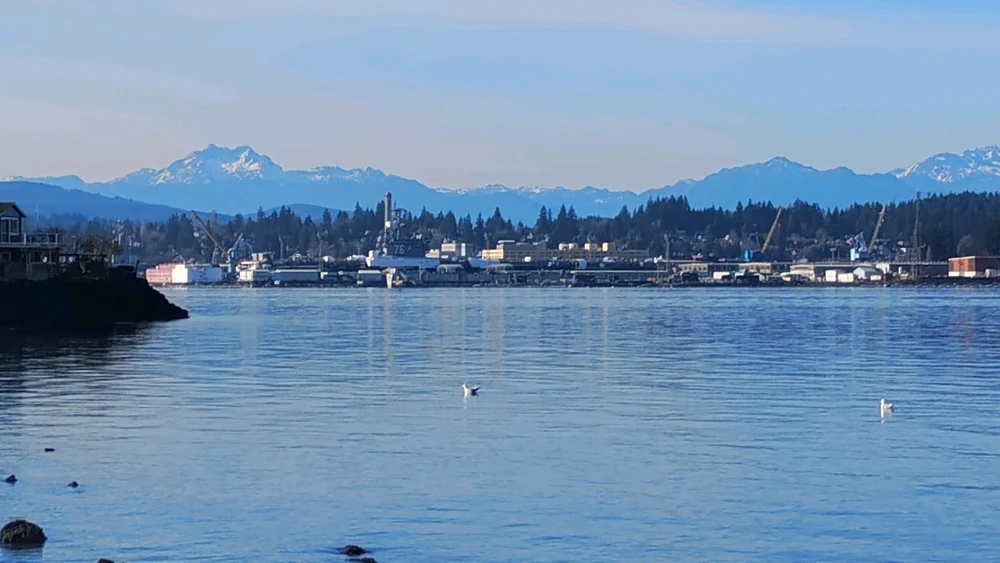 GIF uploaded by Michael