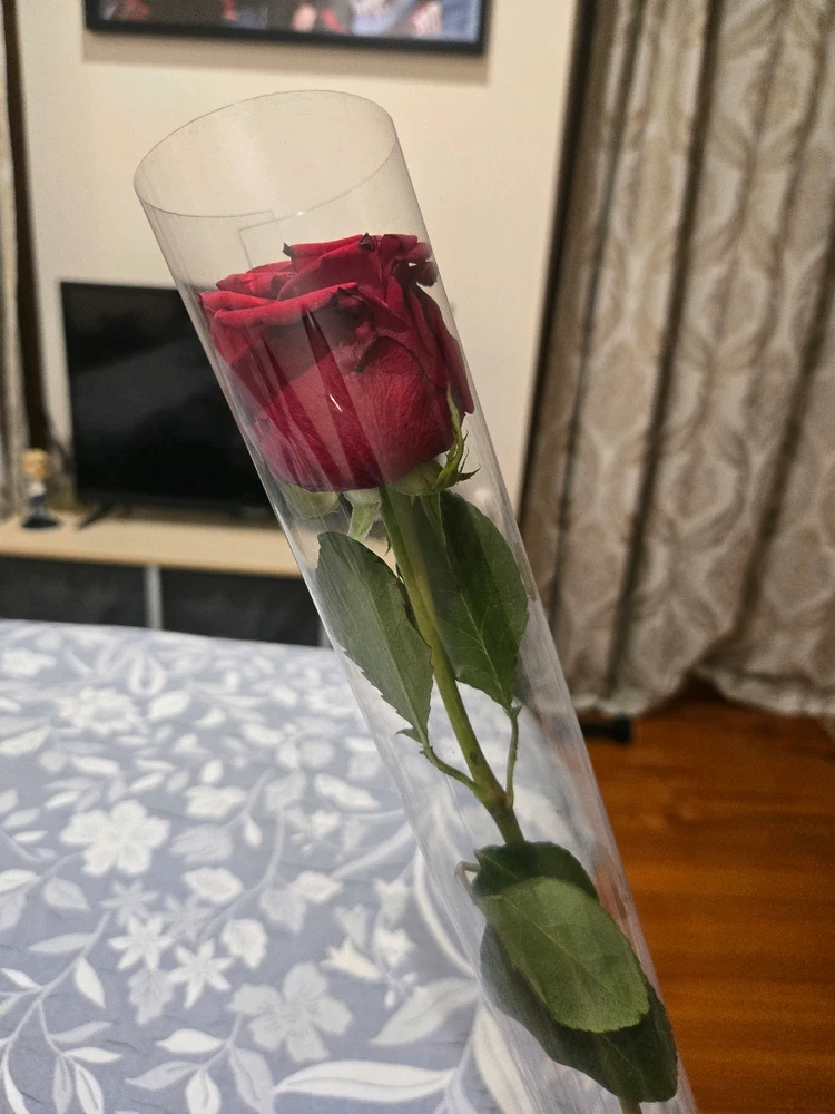 GIF uploaded by Maloth