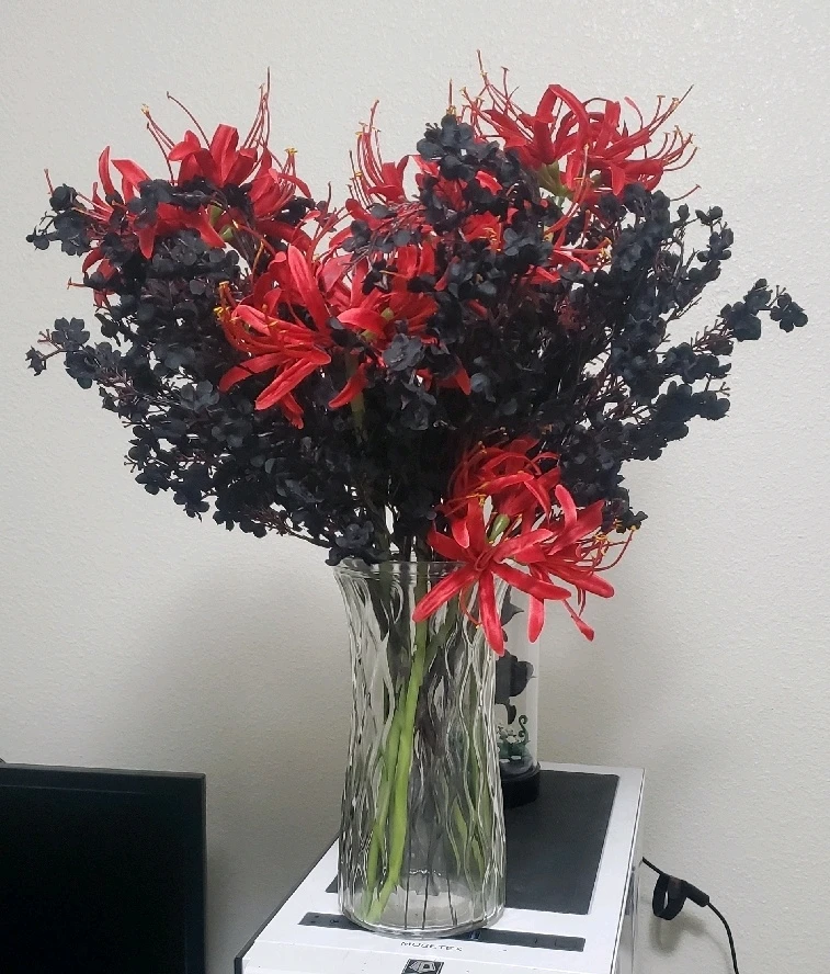 GIF uploaded by Taylor