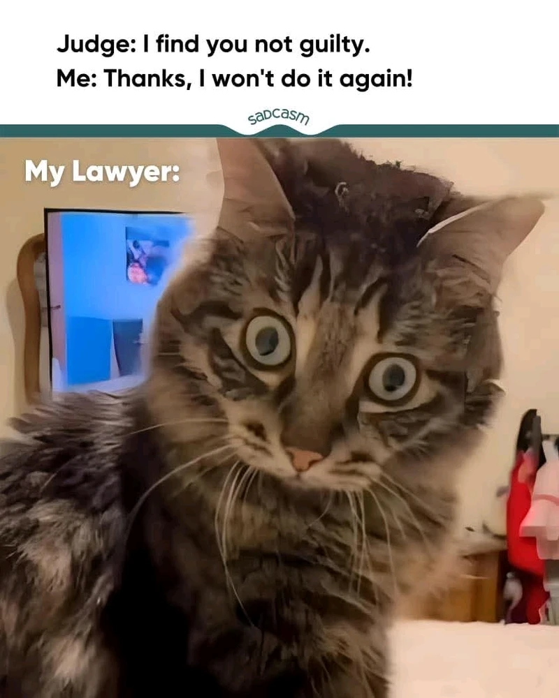 GIF uploaded by Roxy