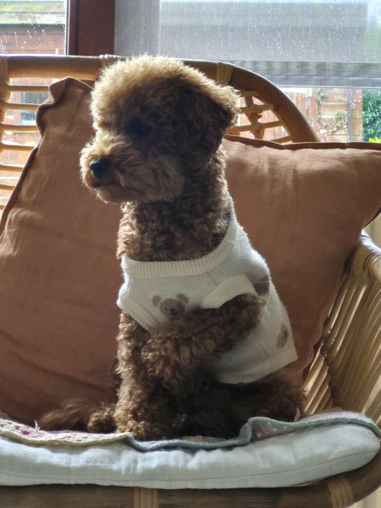 GIF uploaded by deiiii