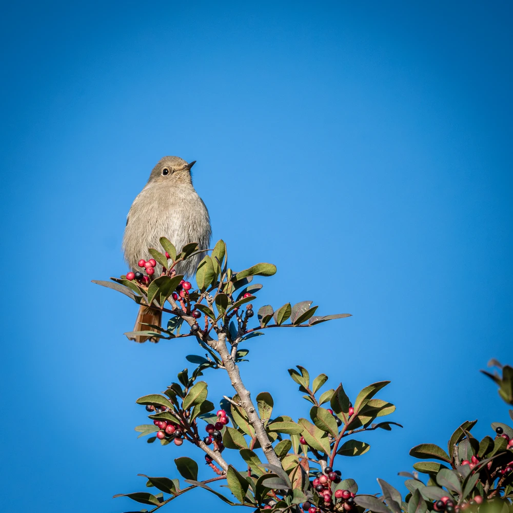 Image uploaded by Adrien