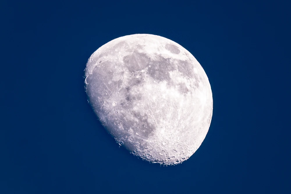 Image uploaded by Adrien