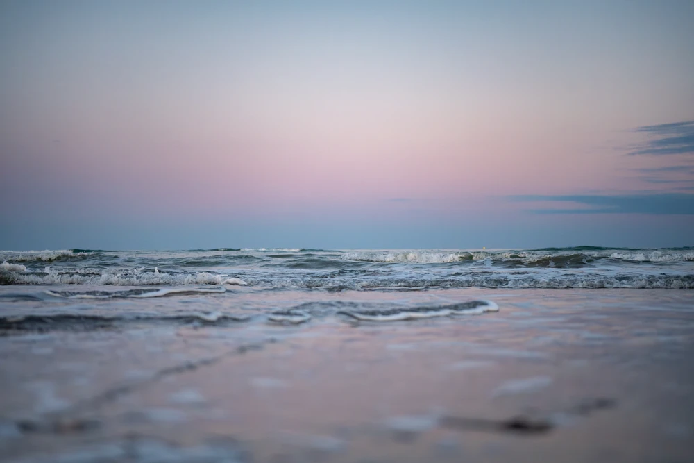 Image uploaded by Adrien