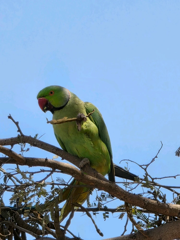 Image uploaded by Kunal