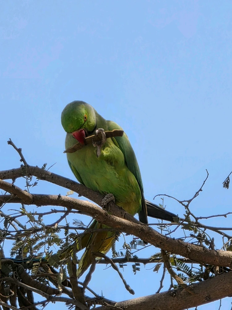 Image uploaded by Kunal