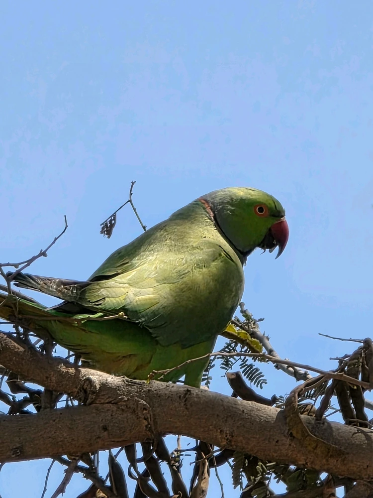 Image uploaded by Kunal