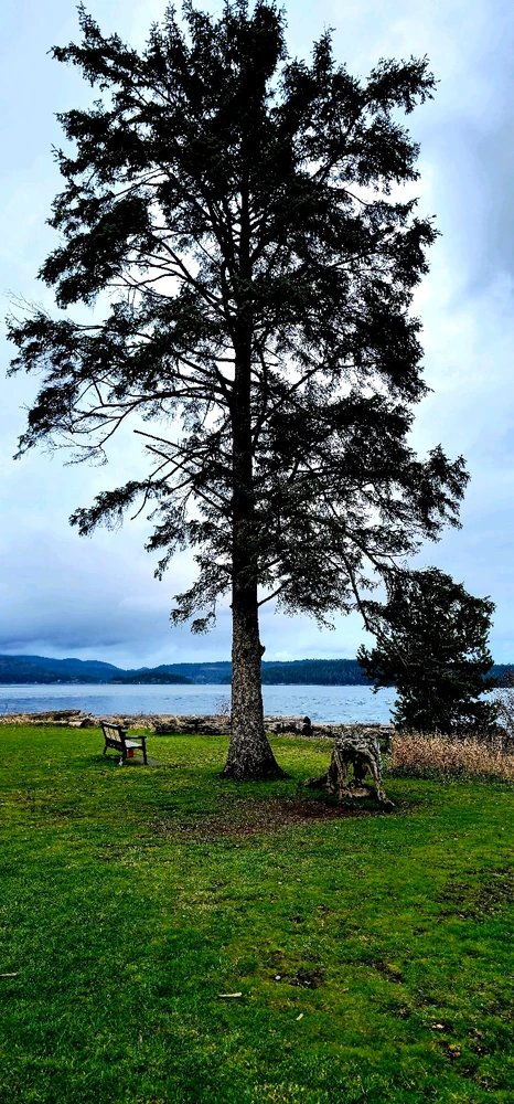 Image uploaded by Kurian