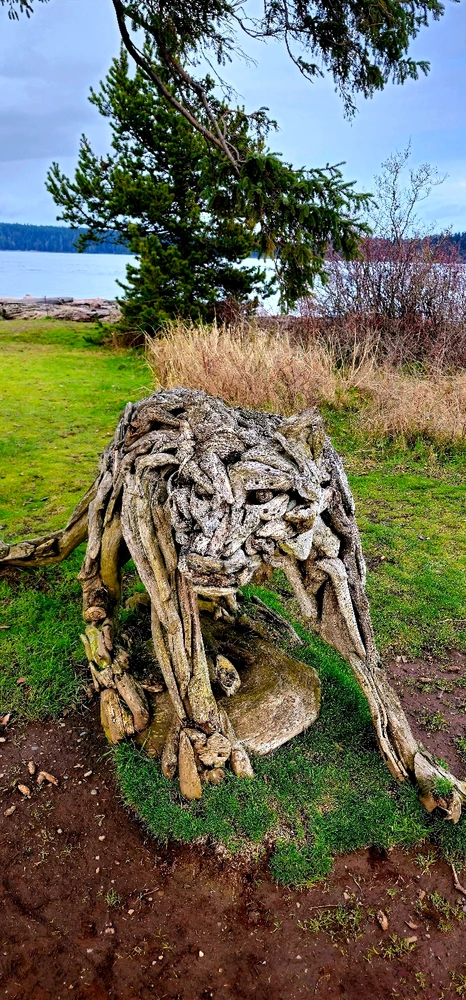 Image uploaded by Kurian