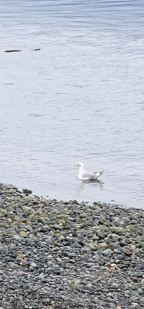 Image uploaded by Kurian