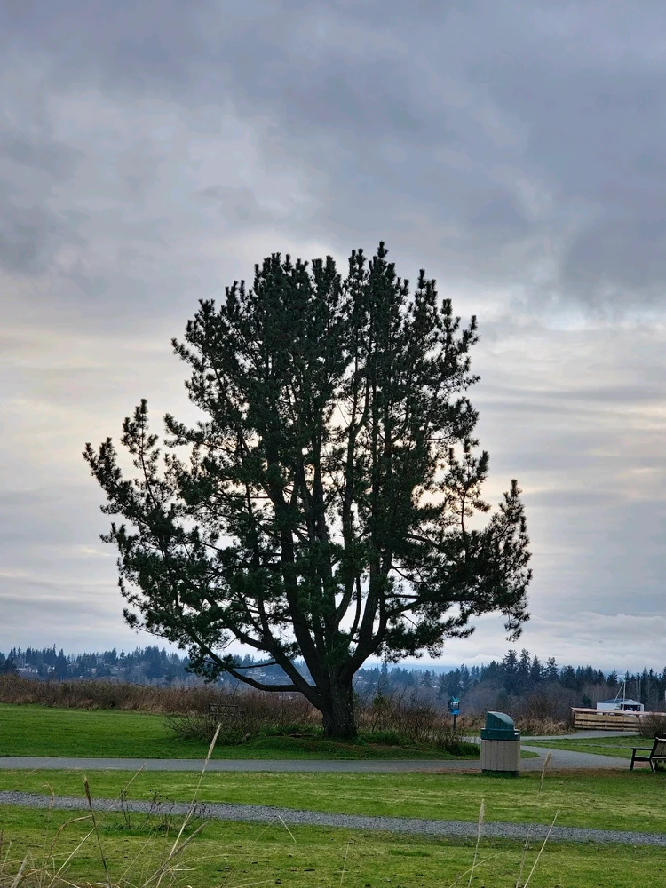 Image uploaded by Kurian