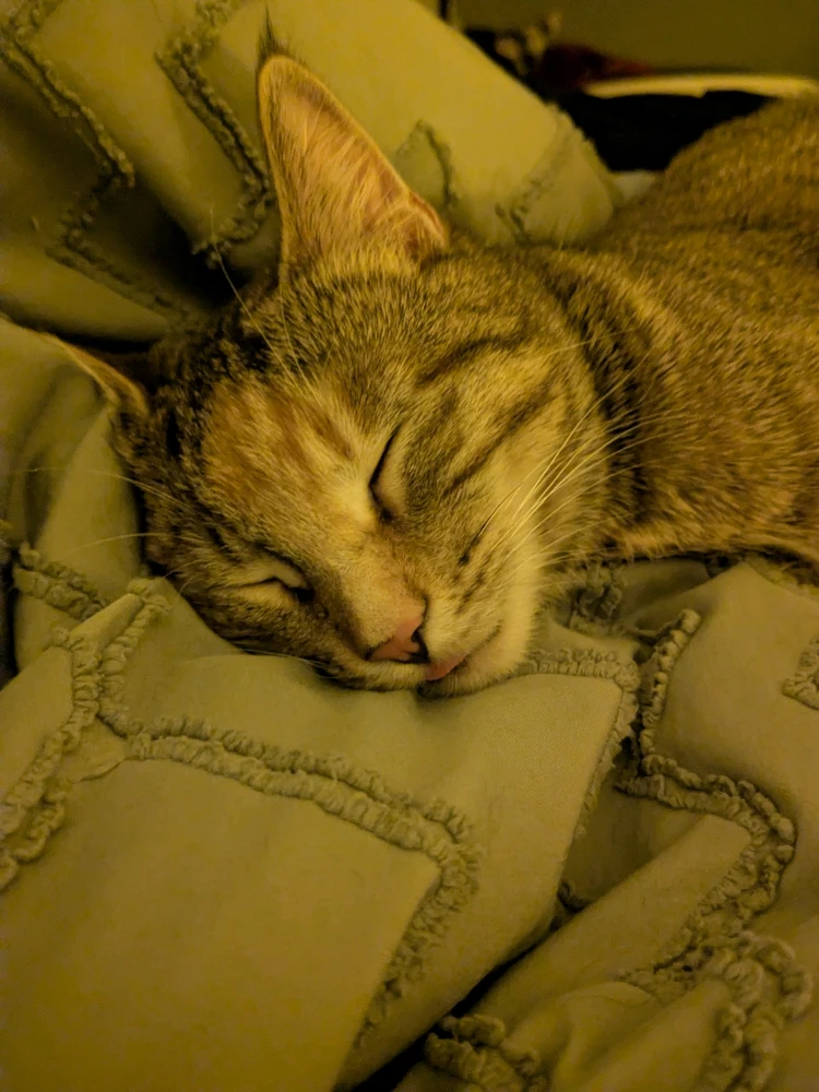 GIF uploaded by Emma