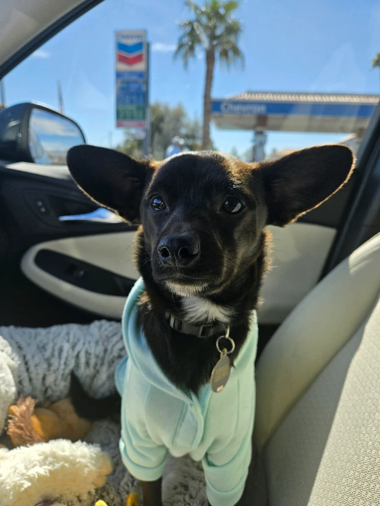 GIF uploaded by JackDeth