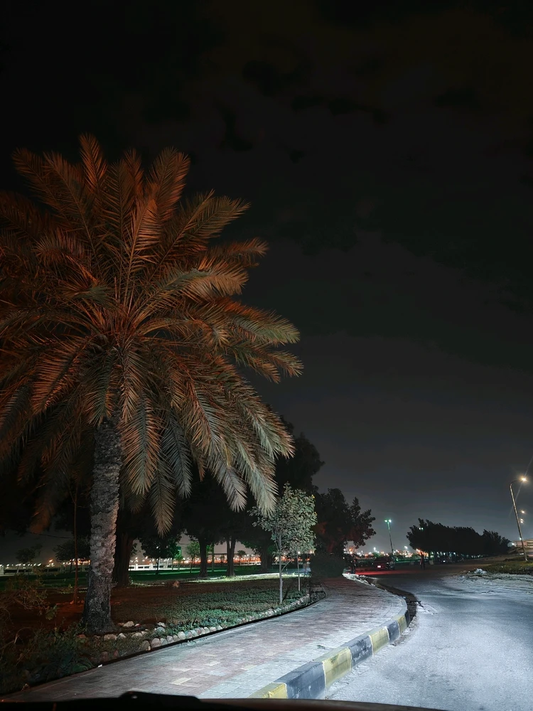 Image uploaded by Raiyan