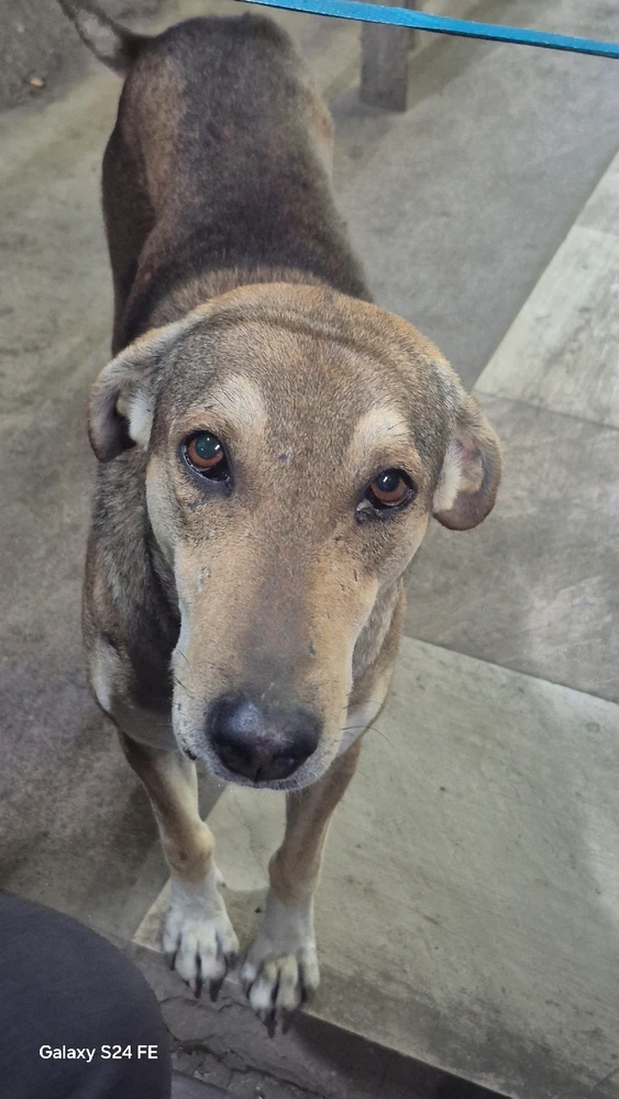 GIF uploaded by Rushabh