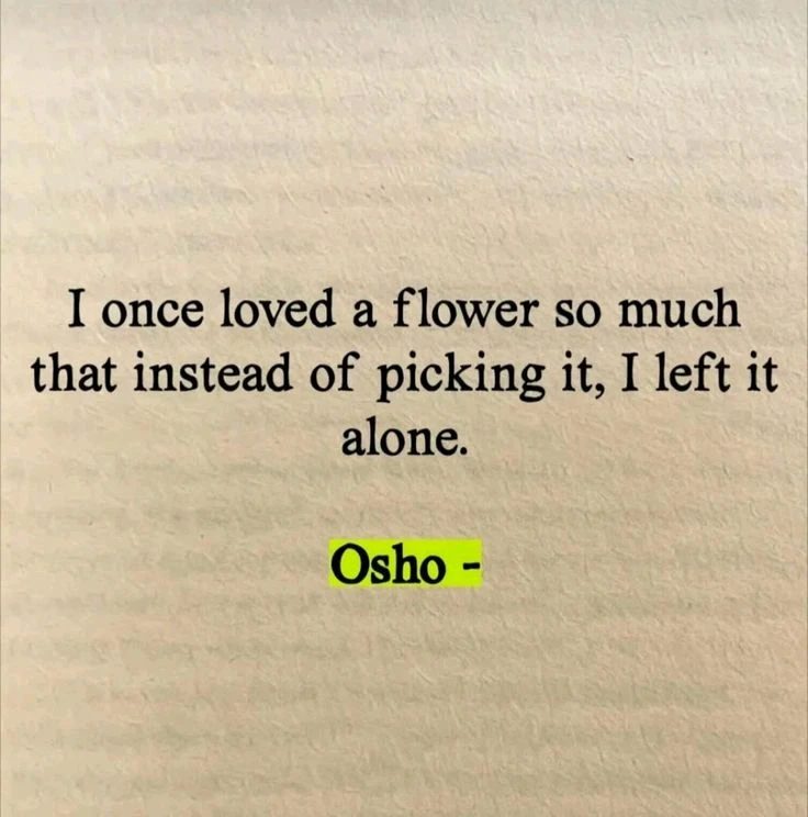 GIF uploaded by Jaiden