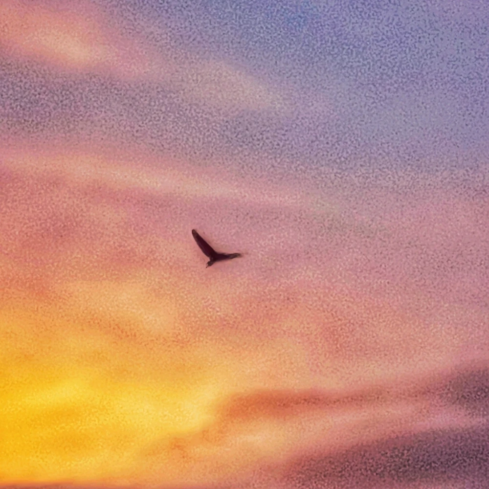 GIF uploaded by Kunal