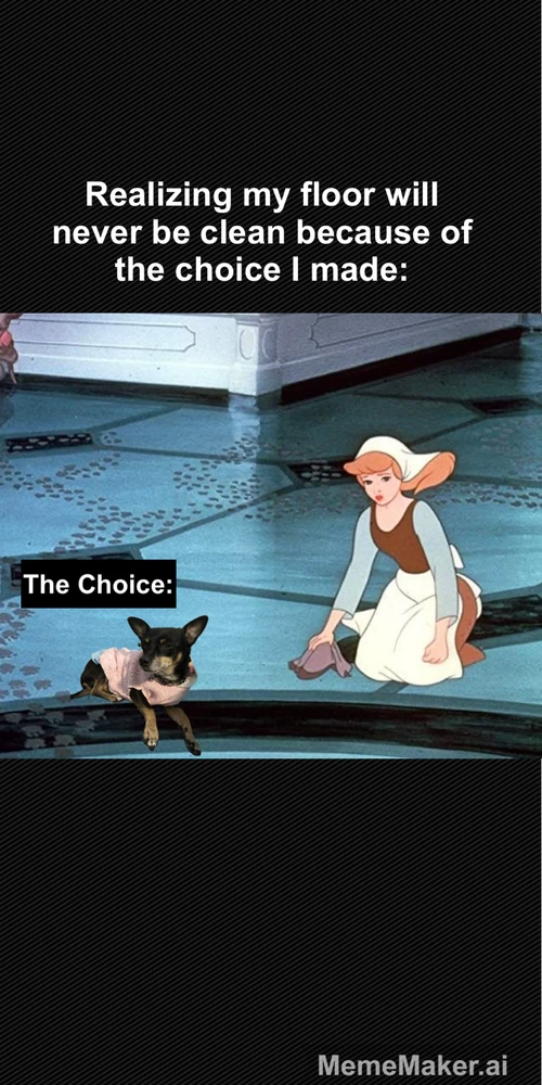 GIF uploaded by Noemi