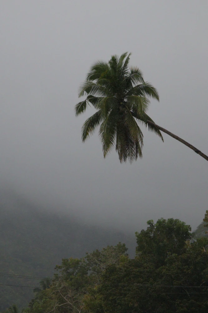 Image uploaded by Heraldo