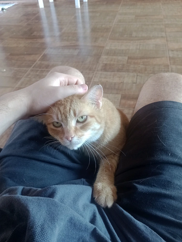 GIF enviado por Miguel