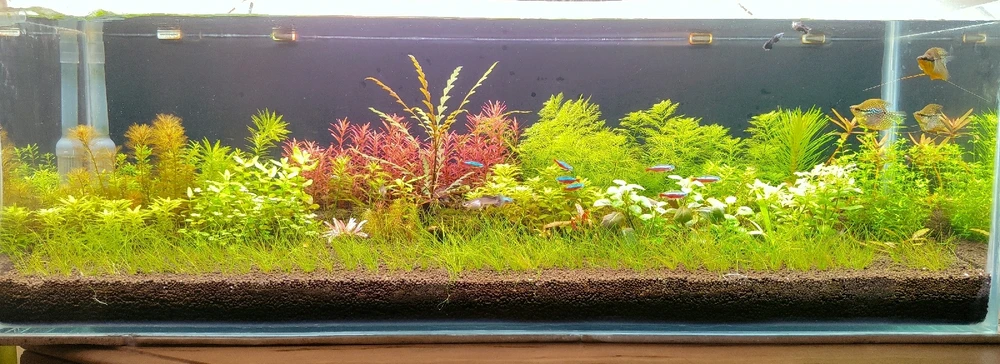 Image uploaded by sebastian