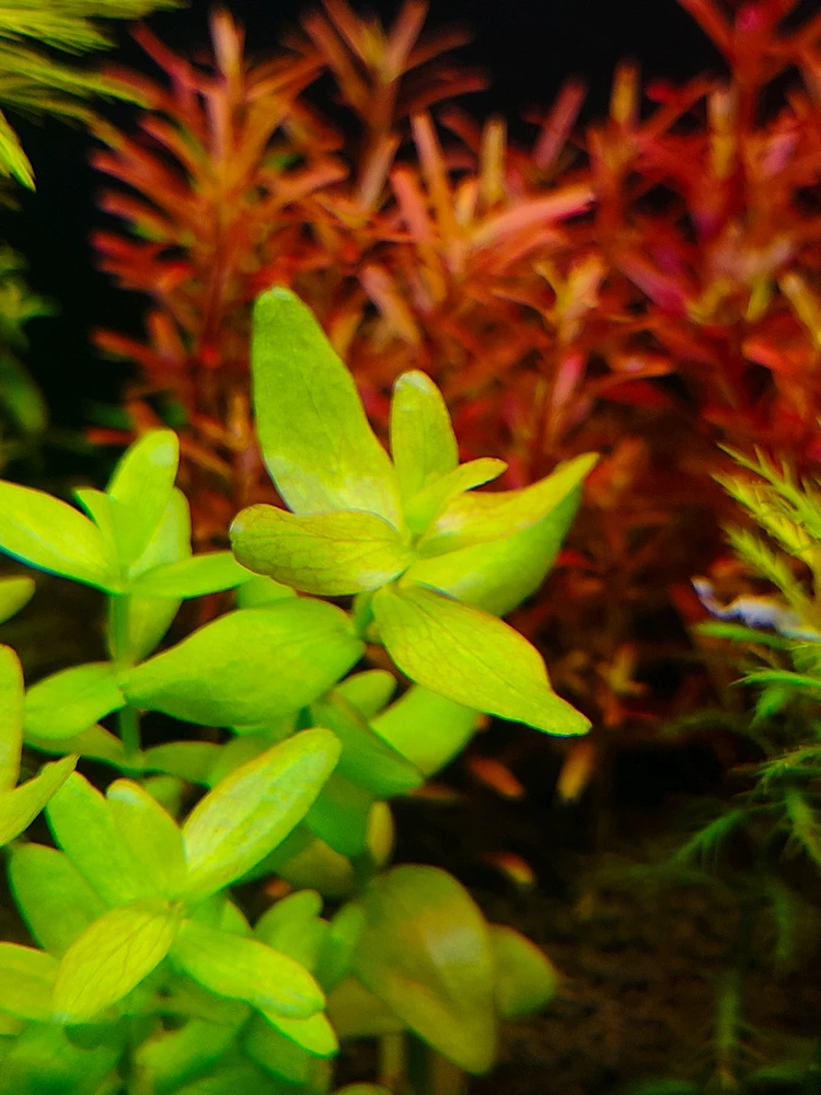 Image uploaded by sebastian