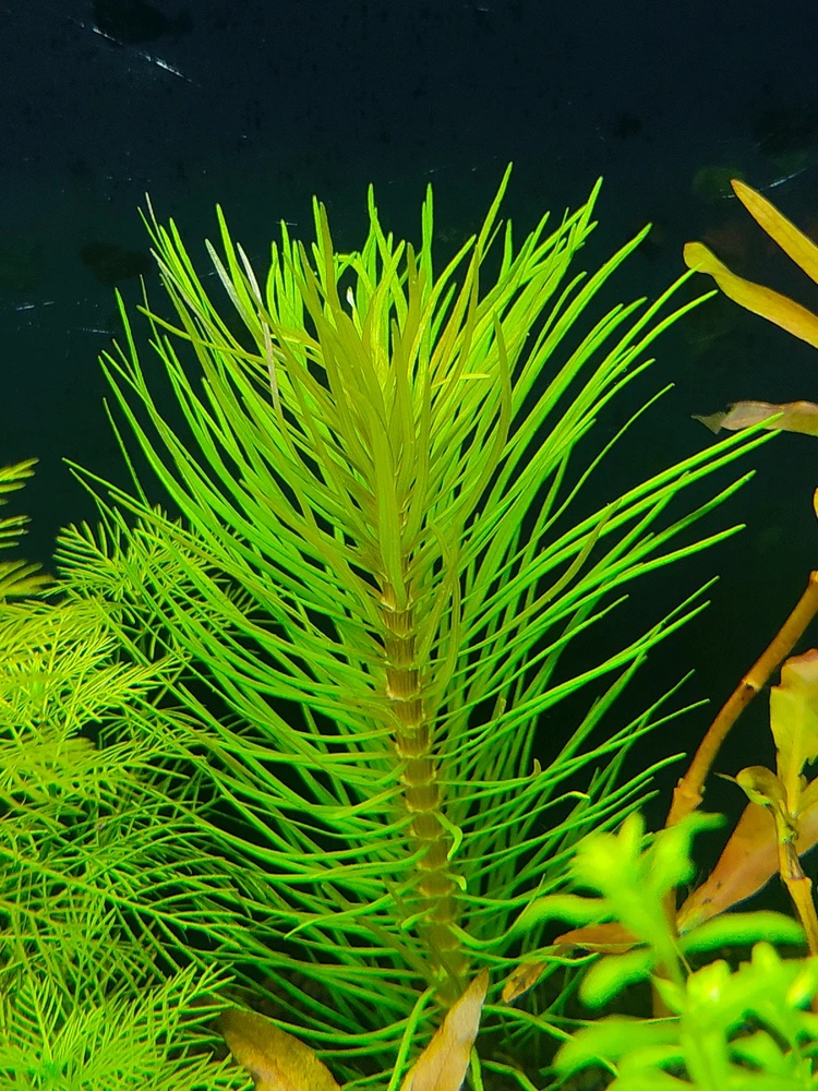 Image uploaded by sebastian