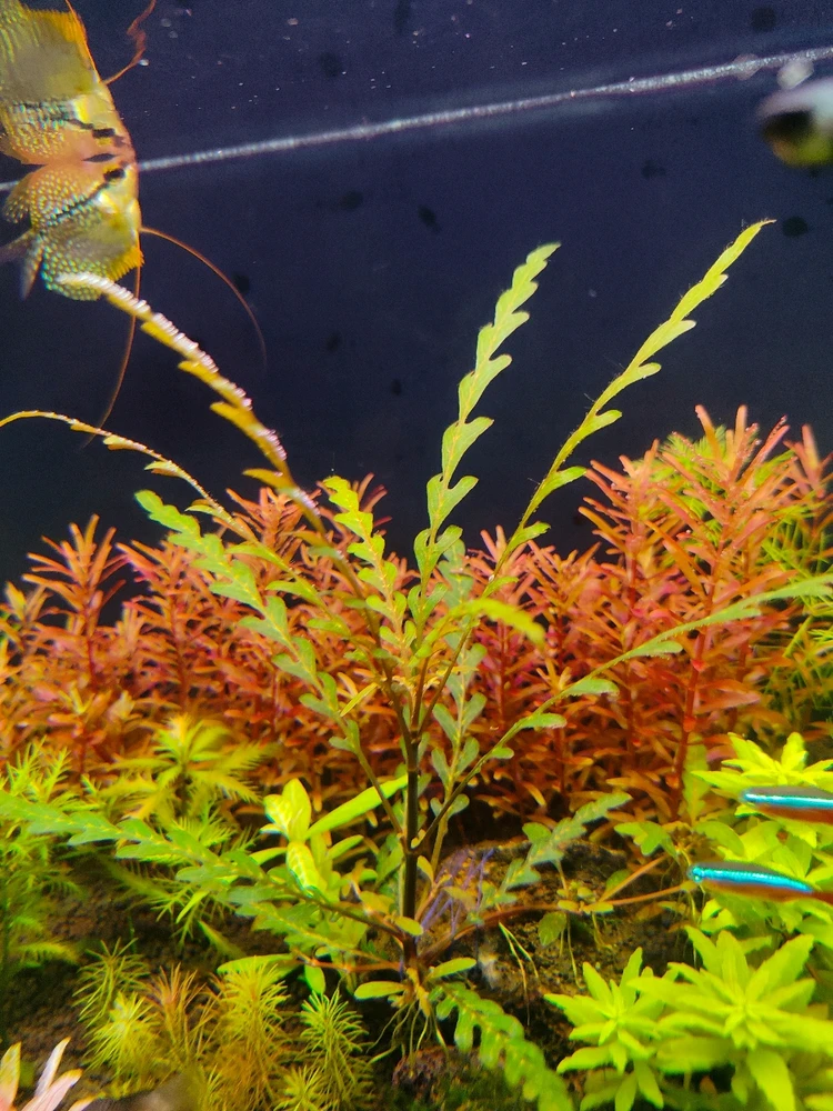 Image uploaded by sebastian