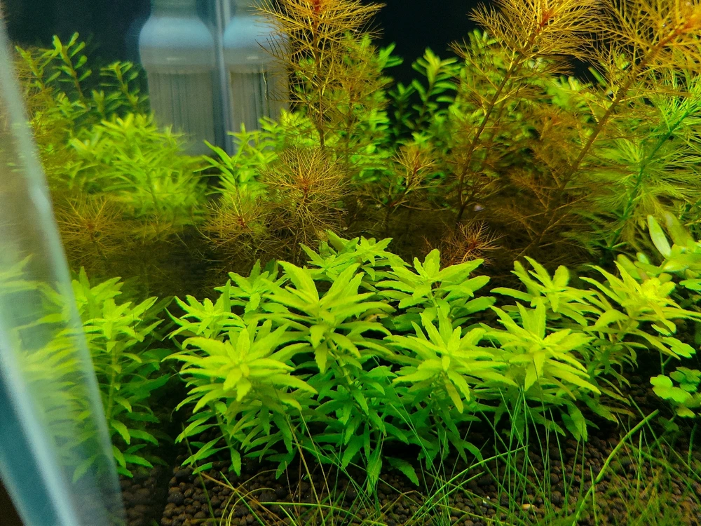 Image uploaded by sebastian