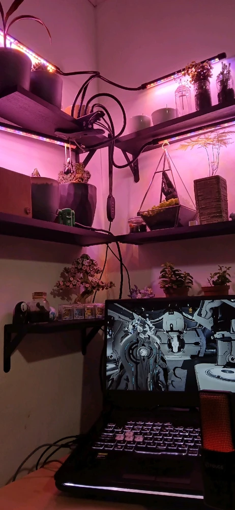 Image uploaded by Mahir