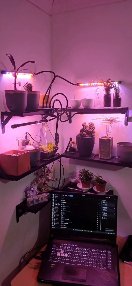 Image uploaded by Mahir