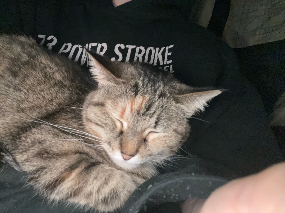 GIF uploaded by Jake