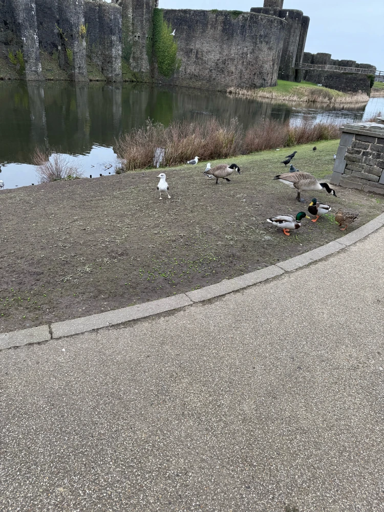 GIF uploaded by Byron