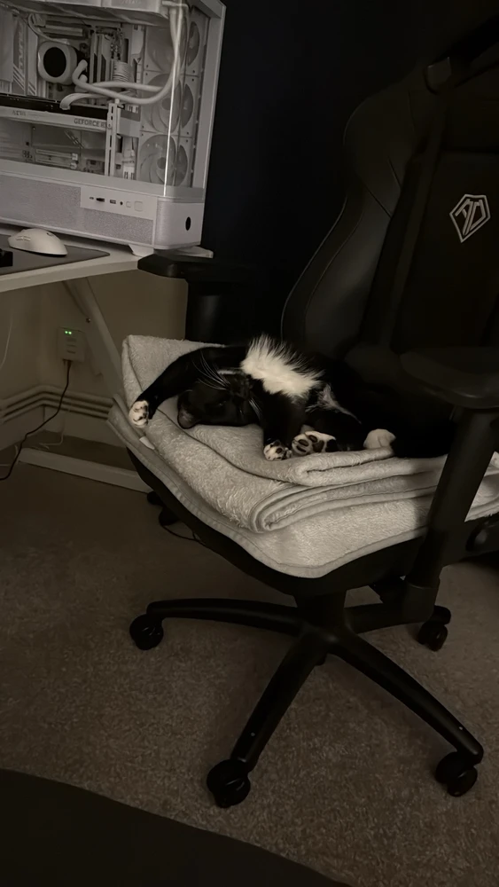 GIF uploaded by Byron